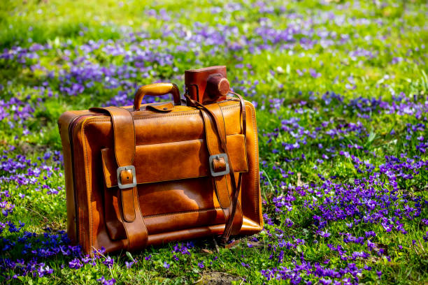 istock vintage suitcase and camera on meadow with purple flowers 1312006933
