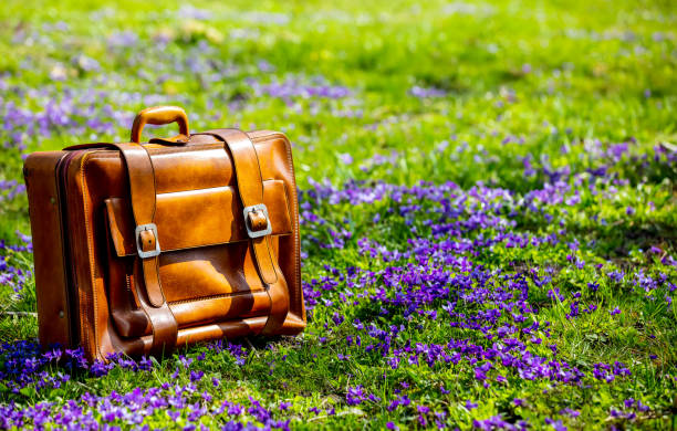 istock vintage suitcase on meadow with purple flowers in spring time 1312006949