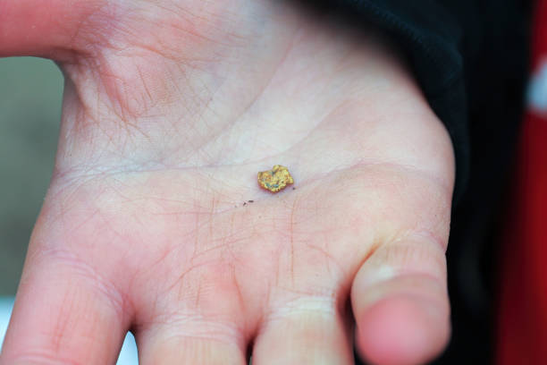 istock A boys hand holding a tiny picker of gold flake 1312011086
