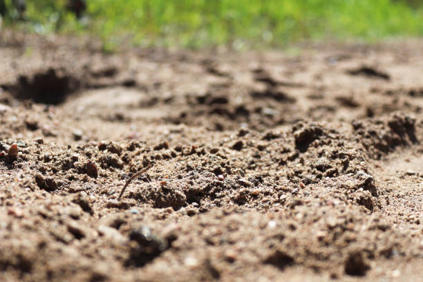 istock Macro ground perspective of a sandy road 1312011106