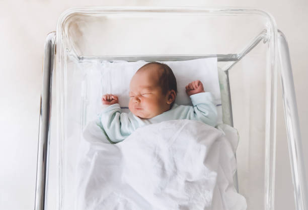 o bebê recém-nascido está dormindo em uma pequena cama de plástico portátil transparente. - newborn - fotografias e filmes do acervo
