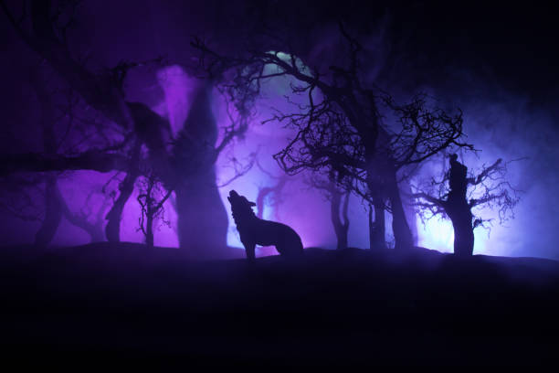 istock Silhouette of howling wolf against dead forest skyline and full moon. Creative artwork decoration. 1312013414