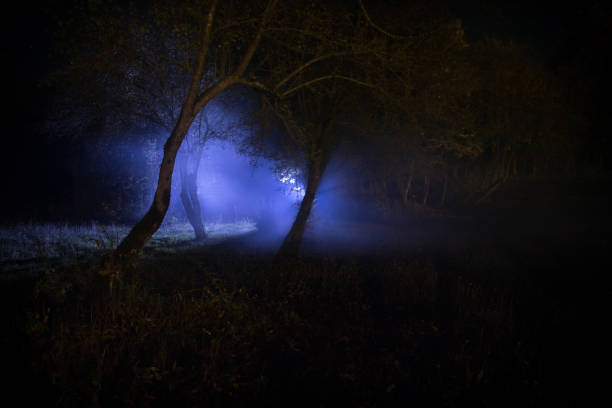 Dark night in forest at fog time. Surreal night forest scene. Horror halloween concept. Magical lights sparkling in mysterious forest at night. Long exposure shot luz extraña en un bosque oscuro por la noche. silueta de persona de pie en el bosque oscuro con luz. noche oscura en el bosque a la hora de la niebla. escena surrealista del bosque nocturno. concepto de halloween de terror. cuento de hadas