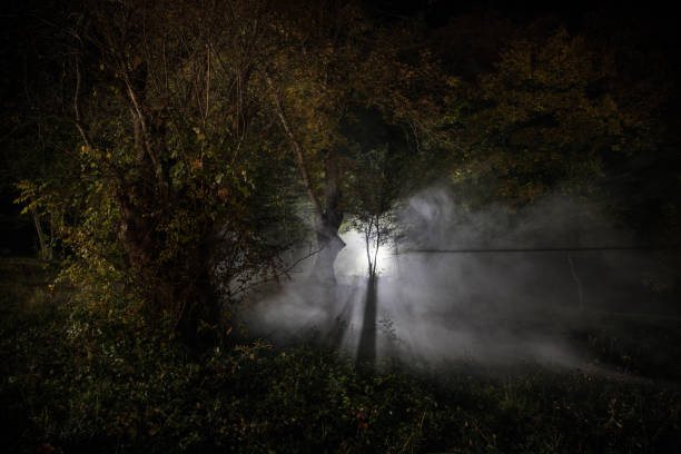 Dark night in forest at fog time. Surreal night forest scene. Horror halloween concept. Magical lights sparkling in mysterious forest at night. Long exposure shot luz extraña en un bosque oscuro por la noche. silueta de persona de pie en el bosque oscuro con luz. noche oscura en el bosque a la hora de la niebla. escena surrealista del bosque nocturno. concepto de halloween de terror. cuento de hadas