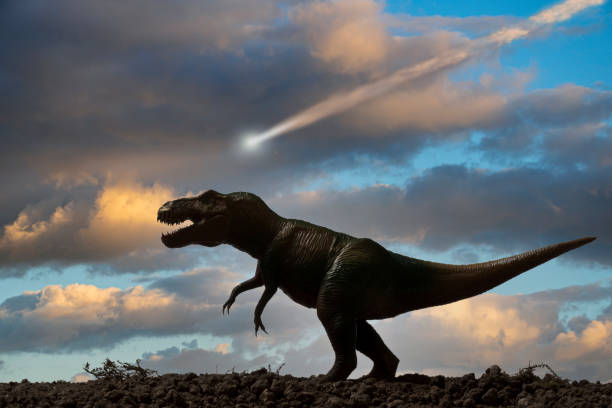 dinosauri e asteroidi - animale estinto foto e immagini stock