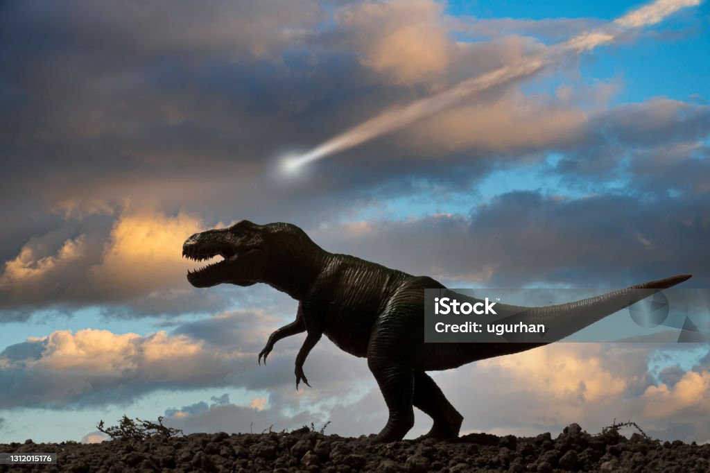 Dinosaurs and Asteroid Dinosaurs and a meteor falling from the sky in back background. Dinosaur Stock Photo