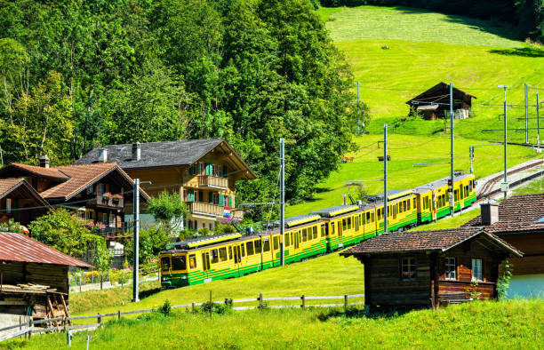 train on the wengernalp railway in lauterbrunnen, switzerland - interlaken railroad station train rural scene imagens e fotografias de stock