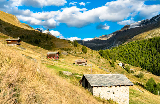 casas de madeira tradicionais em findeln perto de zermatt - mattehorn, suíça - findeln - fotografias e filmes do acervo