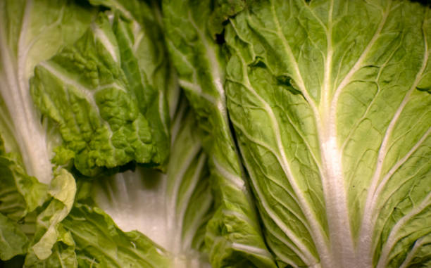istock Pile of Fresh Lettuce 1312018687