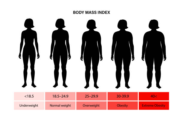 Vetor do Stock: Body mass index of woman obesity weight vector