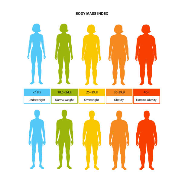 Body mass index Body mass index poster. Woman and man silhouettes with obese normal and slim fit. BMI ranges from overweight to underweight infographic. People with different metabolism and weight vector illustration infographic silhouettes stock illustrations