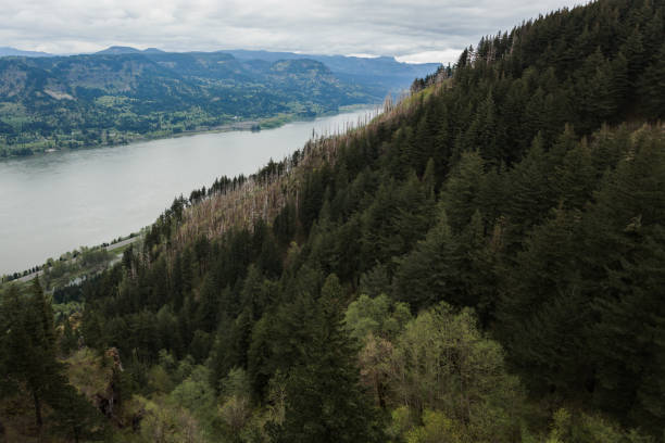 istock Overlook The Columbia River Gorge Oregon 1312024620