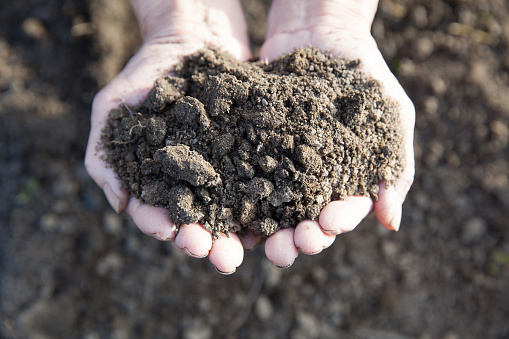farmer's hands holding the soil