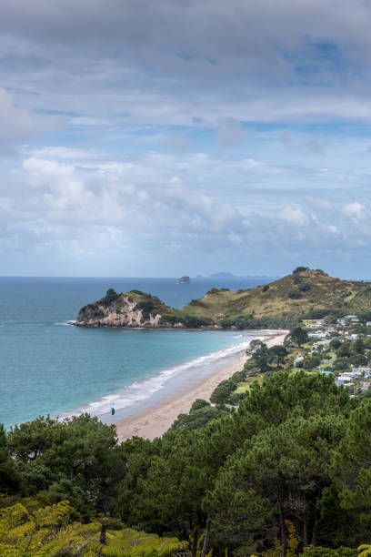 istock Ha Hei Beach, Coromandel, New Zealand 1312034533