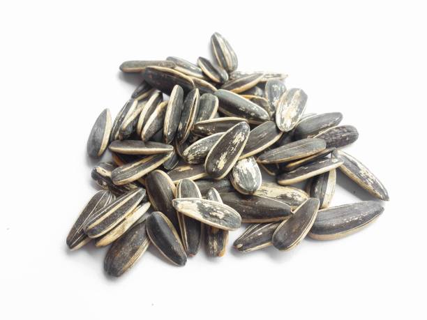 istock sunflower seeds on white background 1312039010