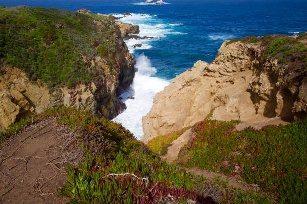istock Rugged Coastline in Big Sur, California 1312040482