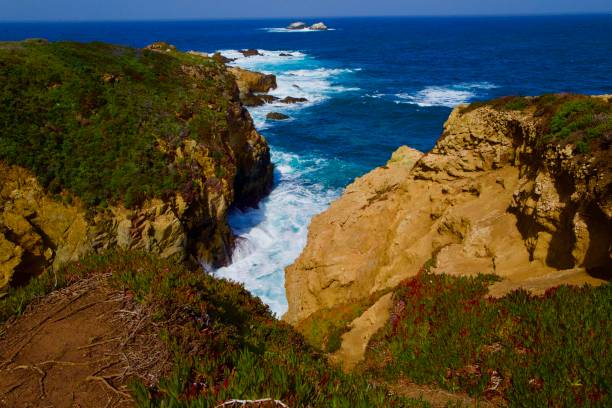 istock Rugged Coastline in Big Sur, California 1312041381