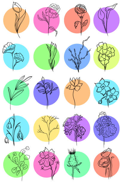 ilustrações, clipart, desenhos animados e ícones de o conjunto de esboços vetoriais de flores de primavera e verão em rodadas coloridas. - spring clover leaf shape clover sketch