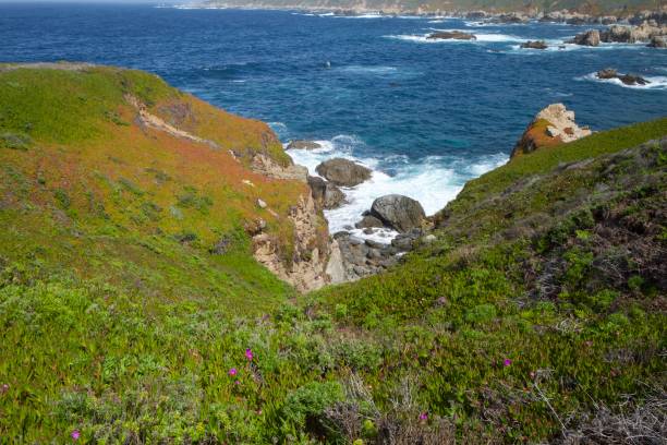 istock Rugged Coastline in Big Sur, California 1312041561