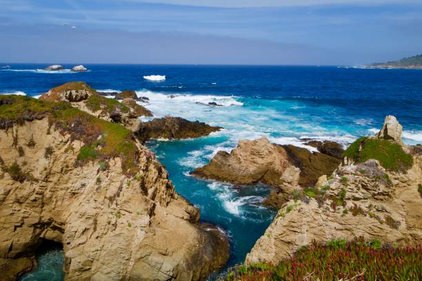 istock Rugged Coastline in Big Sur, California 1312041651