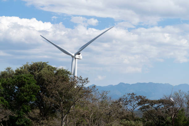istock Wind energy, wind turbine blades converting movement into electrical energy or windmill in Guatemala. 1312044226