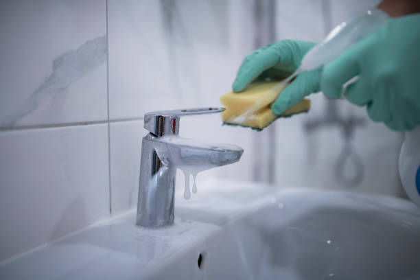 istock Cleaning the bathroom sink. 1312052819