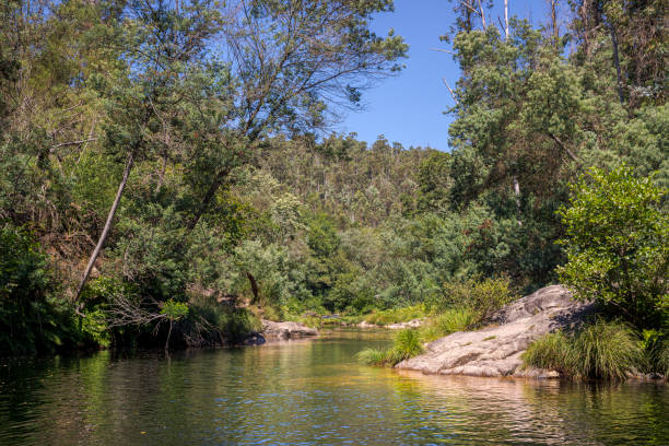 istock Views of the river Verdugo 1312053695