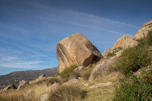 istock Block of granitic rock 1312053709