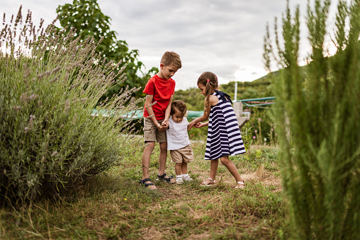 Boy and two girls are in the meadow field. Older siblings are helping baby girl to make first steps.