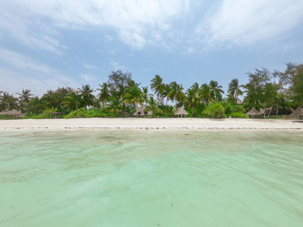 istock Wave of Zanzibar beach 1312057513
