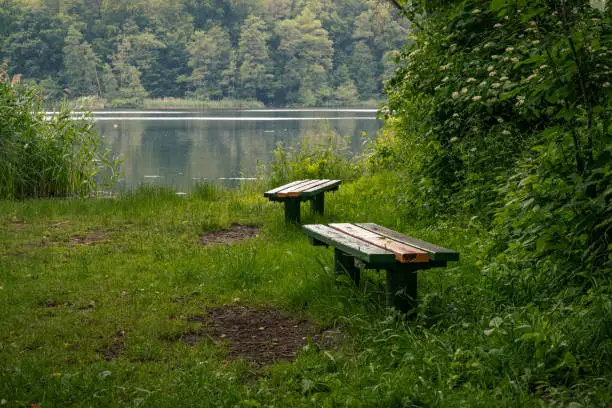 Benches at the Passower See (Lake Passow), Mecklenburg-Western Pomerania, Germany