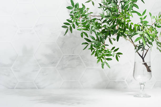 istock Green leaves with shadow on white marble tile wall, wood table in sunlight, copy space. 1312059622