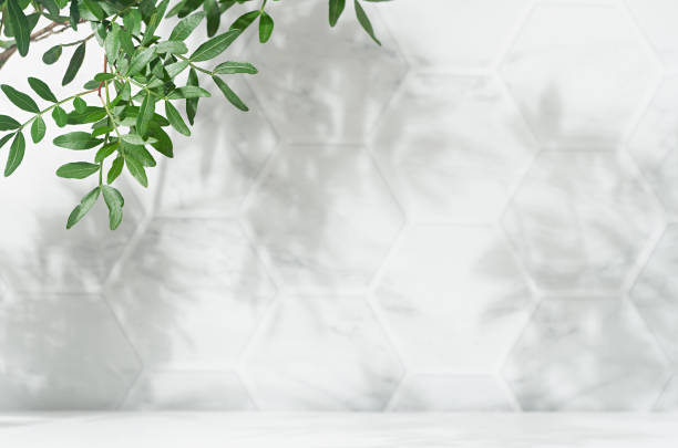 Spring sunlight in green branch of tree with shadow on white marble tile wall,  wood table, copy space. Spring sunlight in green branch of tree with shadow on white marble tile wall,  wood table, copy space. honeycomb pattern photos stock pictures, royalty-free photos & images