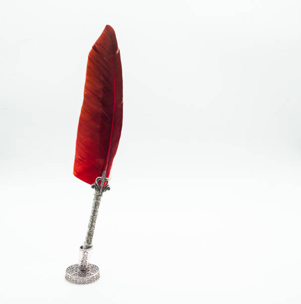 Red feather with a shadow on a white background.