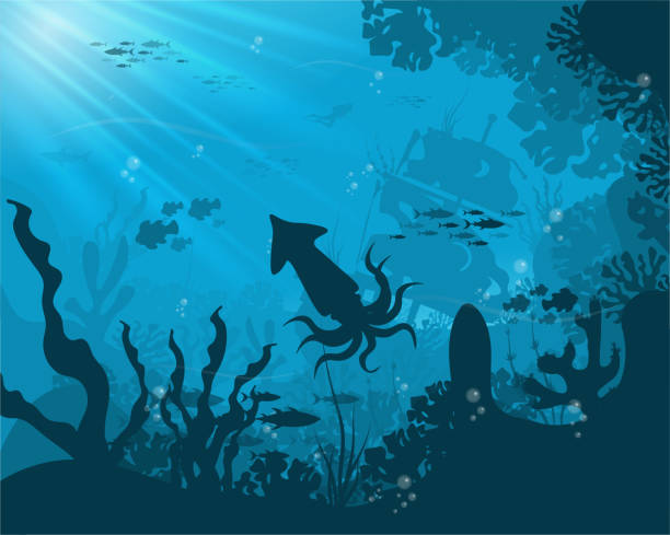 ilustrações, clipart, desenhos animados e ícones de silhueta de peixes e algas no fundo dos recifes. - vector reef coral shark