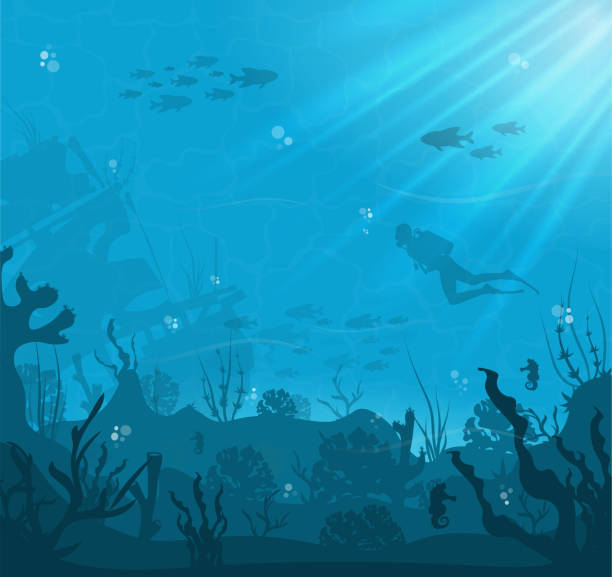 Underwater background, marine habitats, incredible species. Cartoon vector flat-style graphic template underwater exploration stock illustrations