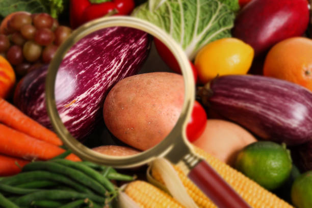 istock Magnifying glass focusing on vegetables, closeup. Food control 1312069899