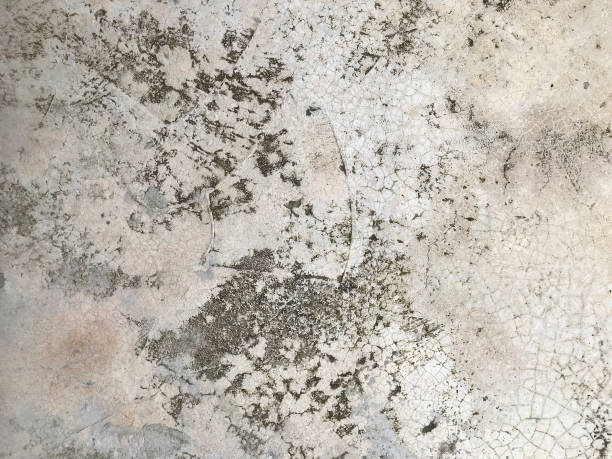 istock old grungy floor texture, gray concrete wall background 1312071128