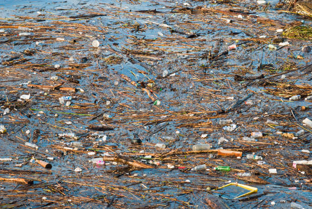 istock various garbage in the sea water off the coast 1312073437