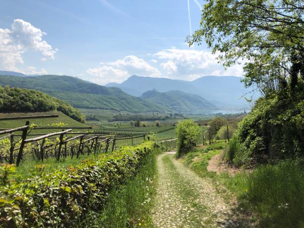 paisaje alrededor del lago caldaro - lake caldaro fotografías e imágenes de stock