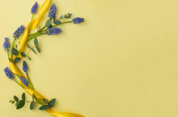 istock Spring muscari flower composition with eucalyptus over yellow pastel background. Easter holiday background. Creative abstract spring, copy space 1312076294