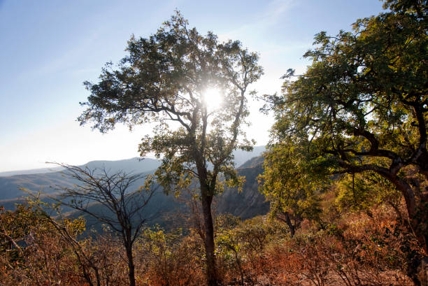 Beautiful landscape and satpura ranges from Chikhaldara District Amravati State Maharashtra India