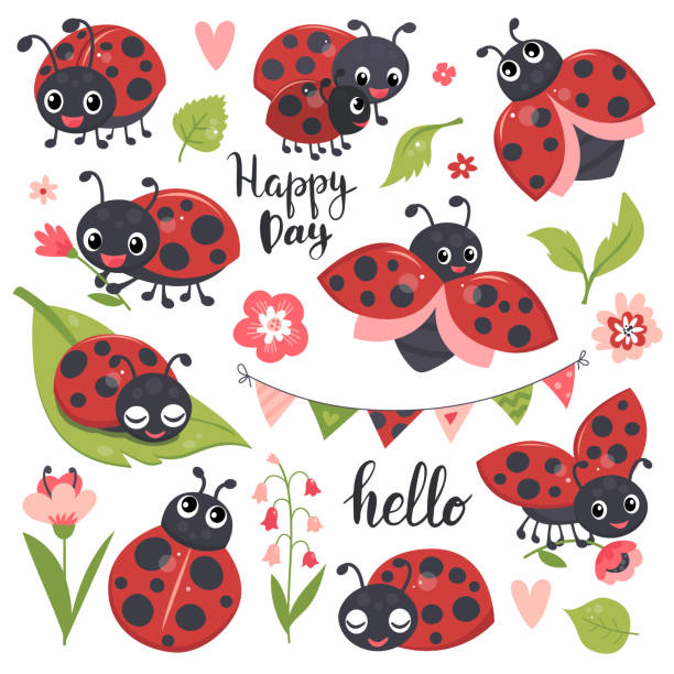 illustrazioni stock, clip art, cartoni animati e icone di tendenza di carino set di coccinelle. - ladybug