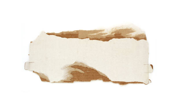 istock Piece of torn paper cardboard 1312081099