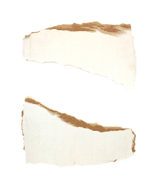 istock Piece of torn paper cardboard 1312081115