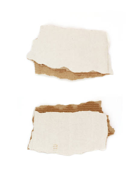 istock Piece of torn paper cardboard 1312081117