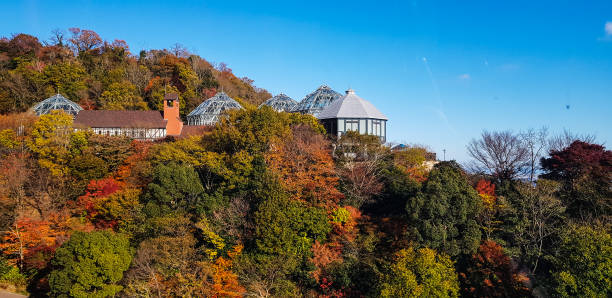 Kobe Nunobiki Herb Gardens stock photo