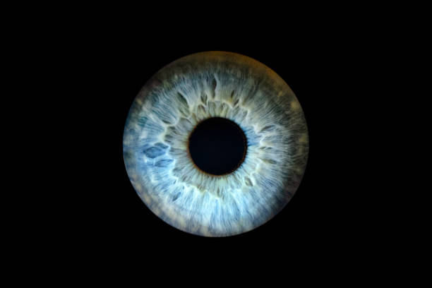 Macro Shot Of Female Eye Iris Cropped On Black Background Usable As  Creative Background Stock Photo - Download Image Now - iStock