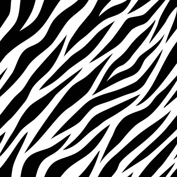 Illustration of tiger pattern background Illustration of black and white tiger seamless pattern background illustration tiger stripes stock illustrations