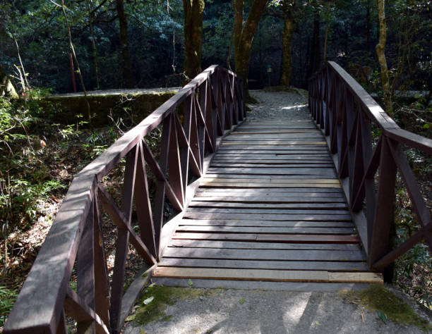 istock Old wooden bridge at jungle. Selective focus 1312089147